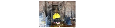 அருப்புக்கோட்டை